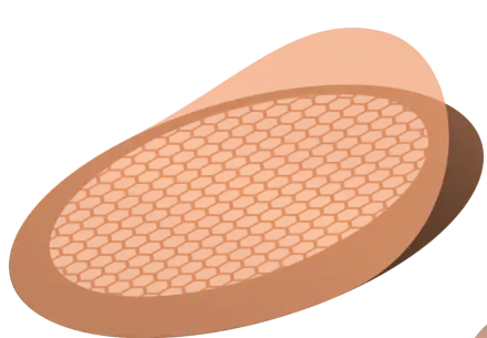 coating