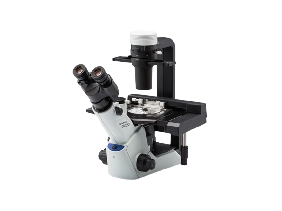 Product list contains ckx53