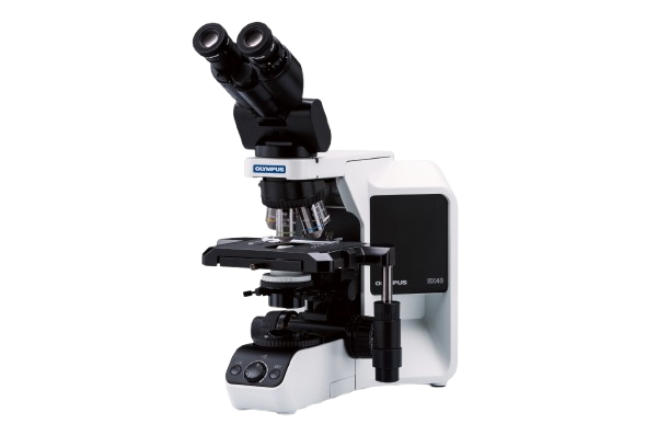 Product list contains BX43