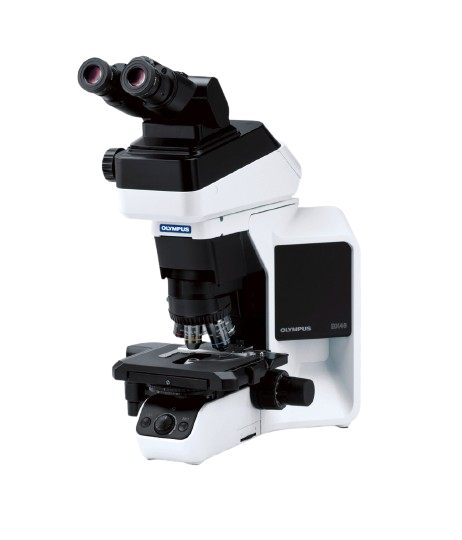 Product list contains BX46