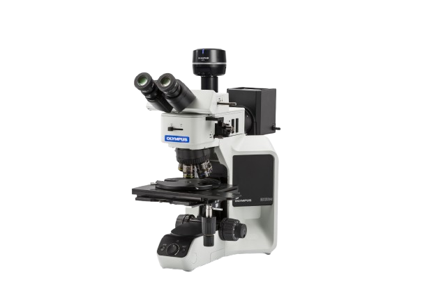 Product list contains BX53