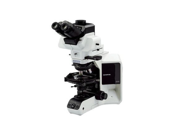 Product list contains BX53P