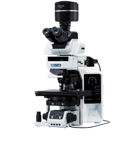 Product list contains BX63