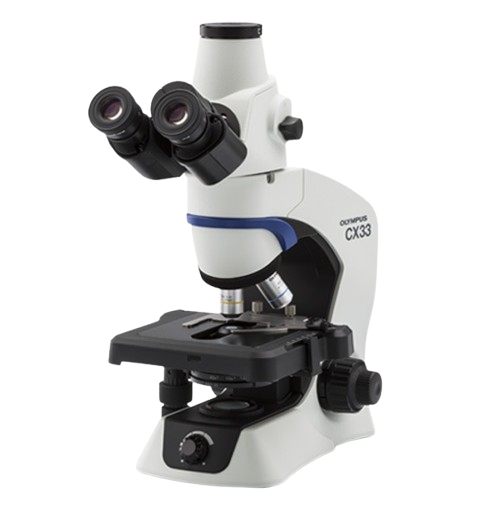 Product list contains CX33